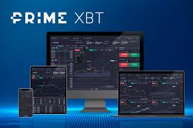 Exploring the Exciting Bonuses PrimeXBT
