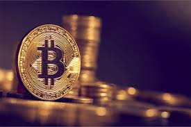 Exploring the Exness MT4 Platform Your Path to Successful Trading